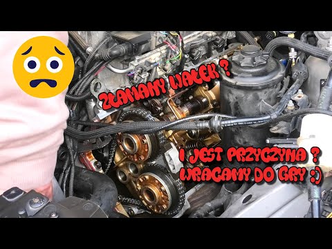 Is There A Reason We're Back In The Game? Broken BMW E65 V8 Camshaft?