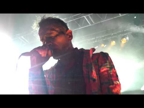 Didier Wampas Cadillac Nancy jazz pulsations 11 10 2013