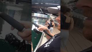 Mermaids Love Bread #fishing #cityfishing #urban #angler #geofishing #chicago #gaming #film #youtube
