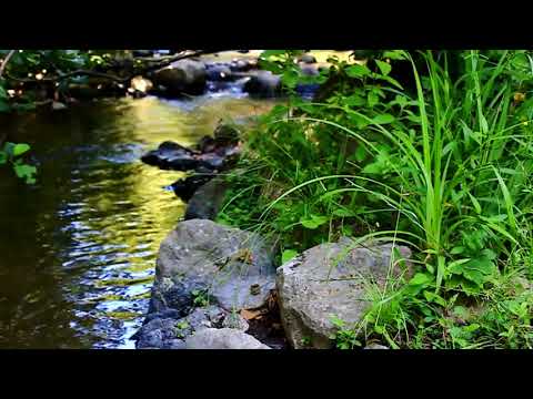 Slow Flowing River Sound