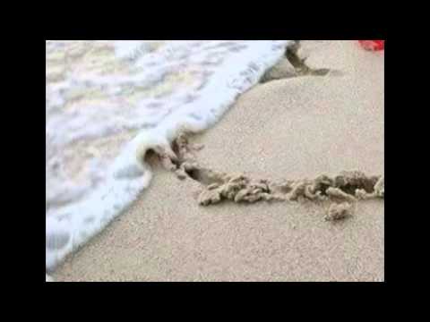 Kiribati song....Nei Tawa  remix