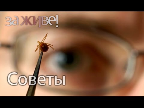 Крем гели от боли в спине Эмульсия для суставов