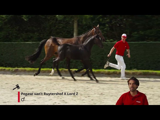 Dortmund Odeveld