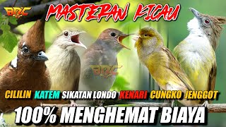 Download lagu JENGGOT - CILILIN - KATEM - SIKATAN LONDO - LOVE BIRD - KENARI - CUNGKO mp3 Download lagu JENGGOT - CILILIN - KATEM - SIKATAN LONDO - LOVE BIRD - KENARI - CUNGKO mp3