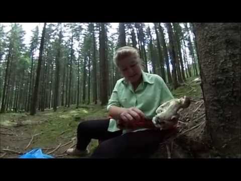 Gabriela a gasit un hrib - Boletus Edulis - Paltinu - Suceava - Romania