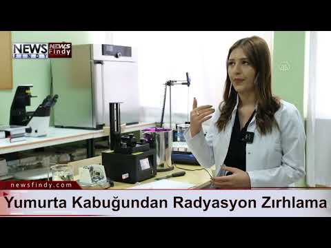 Yumurta Kabuğundan Radyasyon Zırhlama Ürünü Geliştirildi