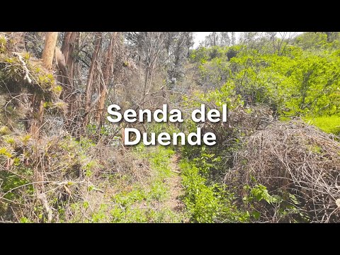 Senda del Duende, Sorata, La Paz Bolivia 🇧🇴 | 4K walking tour
