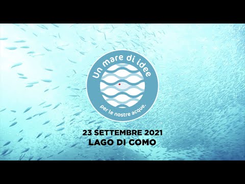 Anteprima video