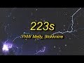 YNW Melly 223s Lyrics Ft 9lokknine