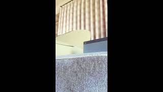 Stan Getz-The Way You Look Tonight ,Violin solo cover