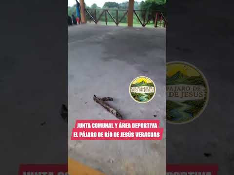 #elpajaro #riodejesus #veraguas #Panamá #Centroamérica