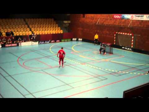 Solfjädern-LIBK 1-4 - Schelin bränner bonusstraff