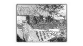 The pAper chAse - What Should We Do With Your Body (The Lightning)