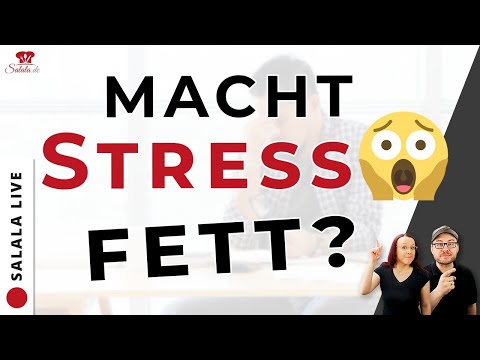 🔴 Macht Stress fett 😱? Welchen Einfluss hat Cortisol auf den Stoffwechsel? Livestream
