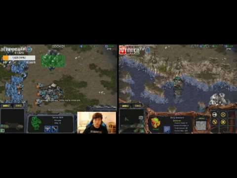 Flash vs Effort TvZ @ Eye of the Storm [2017-06-27] [DUAL FPVOD]