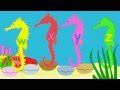ABC Song In The Sea