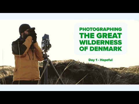 Film Photography in the Great Wilderness of Denmark - Day 1 Hopeful