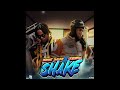 Prince Swanny Skillibeng SHAKE Official Audio