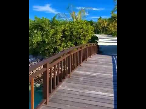 Nice place....#Shorts#Trending