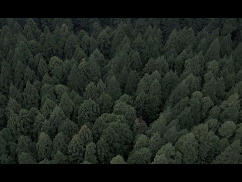 Cristóvam - The Spin (Acoustic)