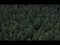 Cristóvam The Spin Acoustic