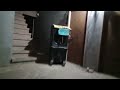 Xxxx Xxxx Video Xxxxx 2025 New Video Xxxx Viral Video 2025 Video Xxxtentacion
