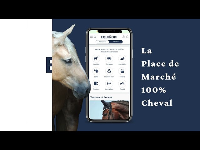 Merrie Lusitano Te koop 2022 Isabel