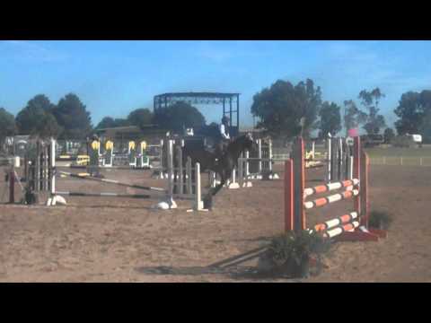 Zunique Wins 1.10 meter at Tucson Fall Preview