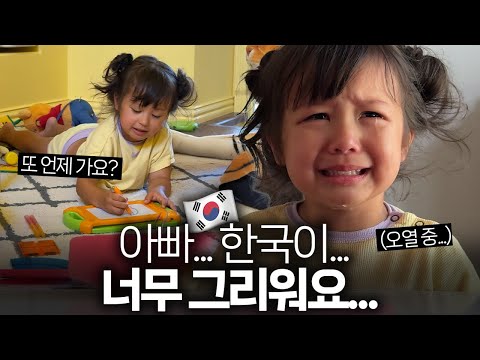 한국 안 간지 벌써 2년째… 체리가 너무 서럽게 울어요