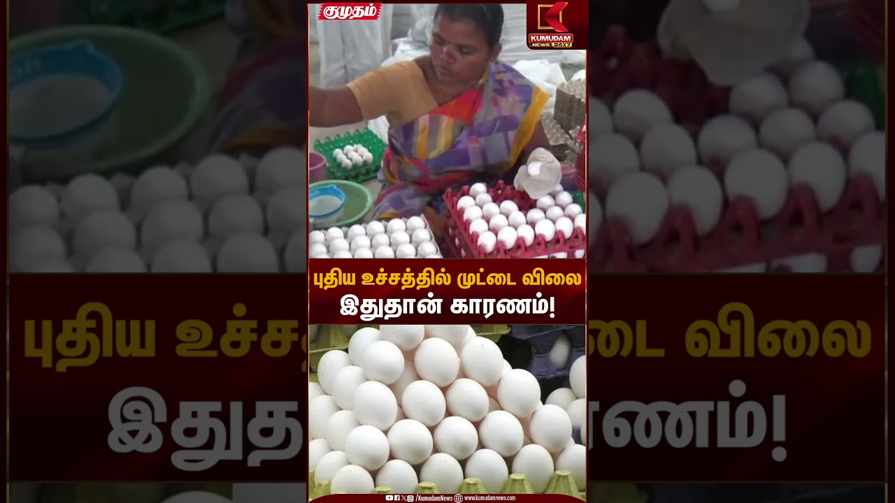 Egg Price Hike | புதிய உச்சத்தில் முட்டை விலை இதுதான் காரணம்! | Kumudam News