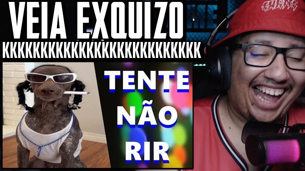 TENTE NÃO RIR / OS MELHORES MEMES - VIDEOS ENGRAÇADOS #88
