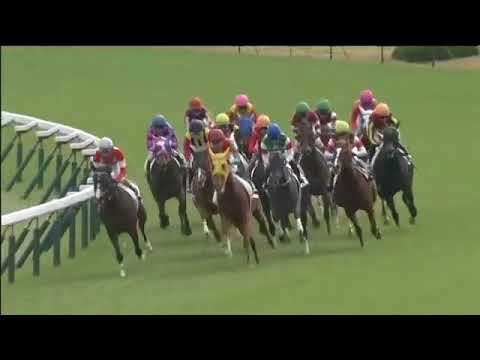 2017.11.12 2yo Newcomer (JPN) - Finift