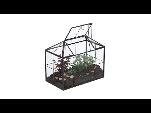 Modernes Pflanzenterrarium Glas Hausform Schwarz - Glas - Metall - 25 x 20 x 14 cm