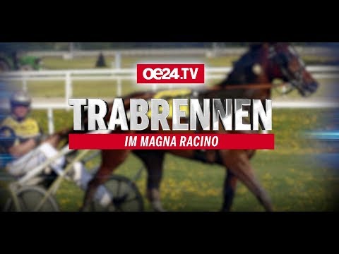 Trabrennen im Magna Racino