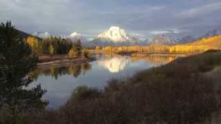 Hard Times Come Again No More (Cover by Whitney McKee)