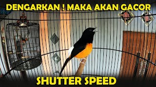 Download lagu Latihan 1 | PANCINGAN MURAI BATU BORNEO mp3