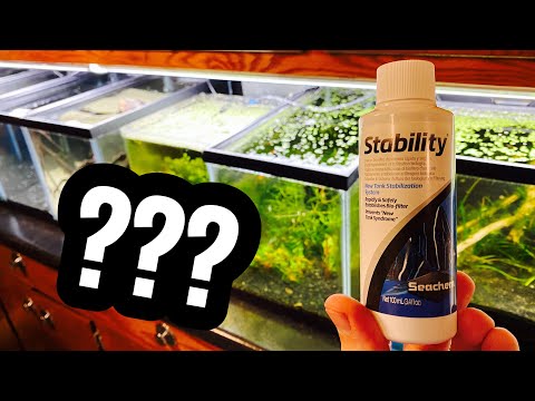 Seachem Stability Fish in Cycle vs Fishless Cycle