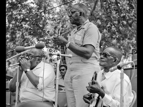 Thumbnail for Sleepy John Estes at Newport Folk Festival '64 by Sleepy John Estes