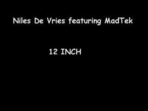 Niles DE Vries featuring MadTek - 12 Inch