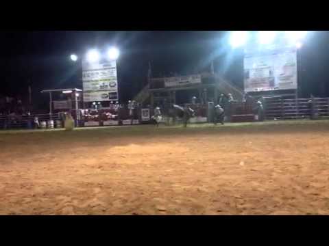 710 Acid Rain Stanley 2013