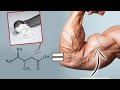 How much CREATINE do we need for Muscle Growth?