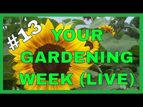 Your Gardening Week (Live) #13