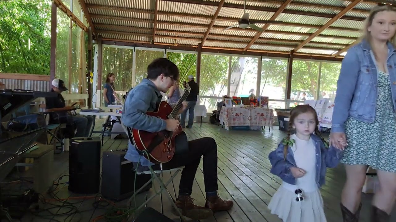 Promotional video thumbnail 1 for Robert H Jazz Solo/Duo