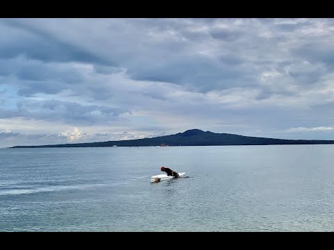 Fenn (Fennix) Swordfish S remount