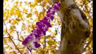 Once in a Lifetime Love by Clay Walker