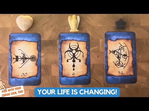 Your Story:  Past, Present and Future! | Timeless Reading