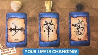 Your Story:  Past, Present and Future! | Timeless Reading