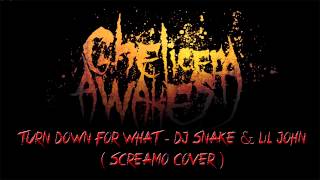 Dj Snake &amp; LiL Jon - Turn Down For What (Screamo Cover)(2014)