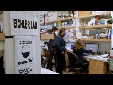 An historic first: complete human genome sequenced