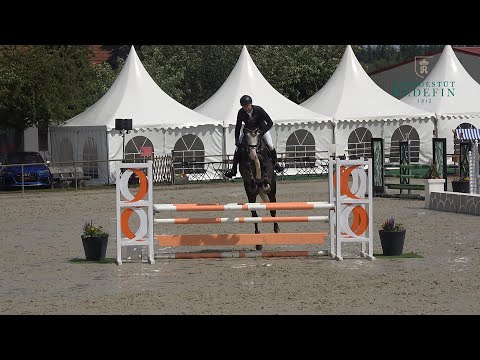 Cabalu v. Colman - Zento, OS, Hengst, gekört, * 2019